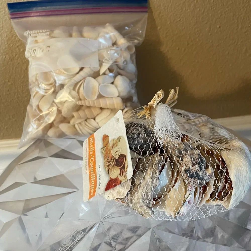 Seashell Lot - Picture 12 of 13